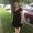Photo of Shara D.