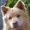Photo of Mackie P.