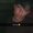 Photo of Alyx M.