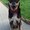 Photo of Jemmy H.