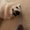 Photo of Henry B.