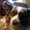Photo of Jack P.