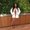 Photo of Brittni T.