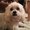Photo of Benny P.