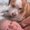 Photo of Cathi G.