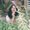 Photo of Roxanne R.