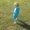 Photo of Dagny F.