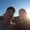 Photo of Sheila B.