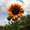 Photo of Summer W.