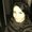 Photo of Elina S.