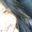 Photo of Selina C.