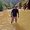 Photo of Sachin K.