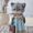 Photo of Pricilla P.