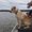 Photo of Katie D.