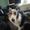 Photo of Jayleen S.
