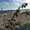 Photo of Susan T.