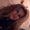 Photo of Jasmyn R.