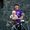 Photo of Nicolle H.