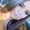 Photo of Katelyn S.