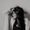Photo of Aly S.