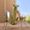 Photo of R B.