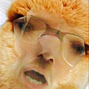google avatar