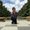 Photo of Trina C.