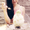 Photo of Kyung S.