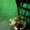 Photo of Robby M.