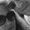 Photo of Jacia P.