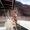 Photo of Jessee F.