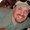 Photo of Ryan H.