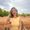 Photo of Amber S.