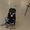 Photo of Shawna S.
