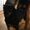 Photo of Maryann Y.