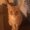 Photo of Zech N.