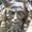 Photo of Connoisseur C.
