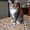 Photo of Cat S.