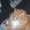Photo of Qype User (romeov…)