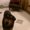 Photo of Mina R.