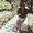 Photo of Sannie N.