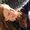 Photo of Katey D.