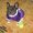 Photo of AtoZ K.