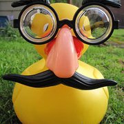 google avatar