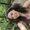 Photo of Brianna L.