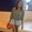 Photo of Courtney M.