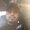 Photo of Foodtaster S.