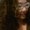 Photo of Bianca N.