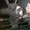 Photo of Qype User (Bambi2…)