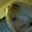 Photo of Debi A.